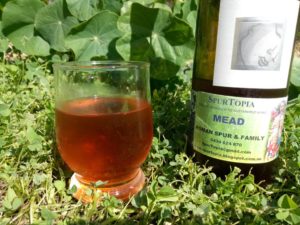 Mead - delicious drink and medicine