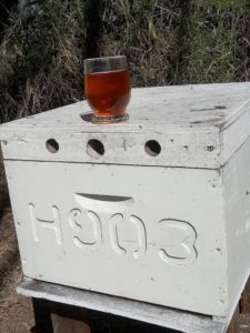 Mead - delicious drink and medicine